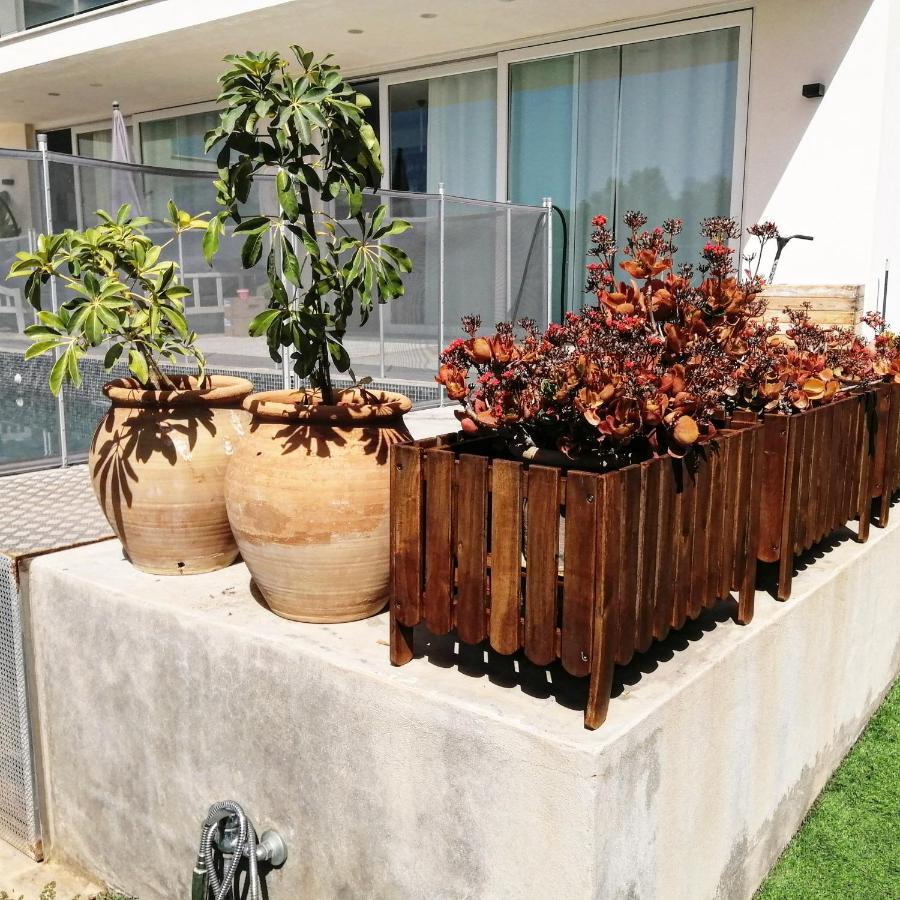 Ca Na Xisca Holiday home