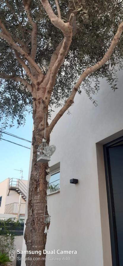 Ca Na Xisca Holiday home